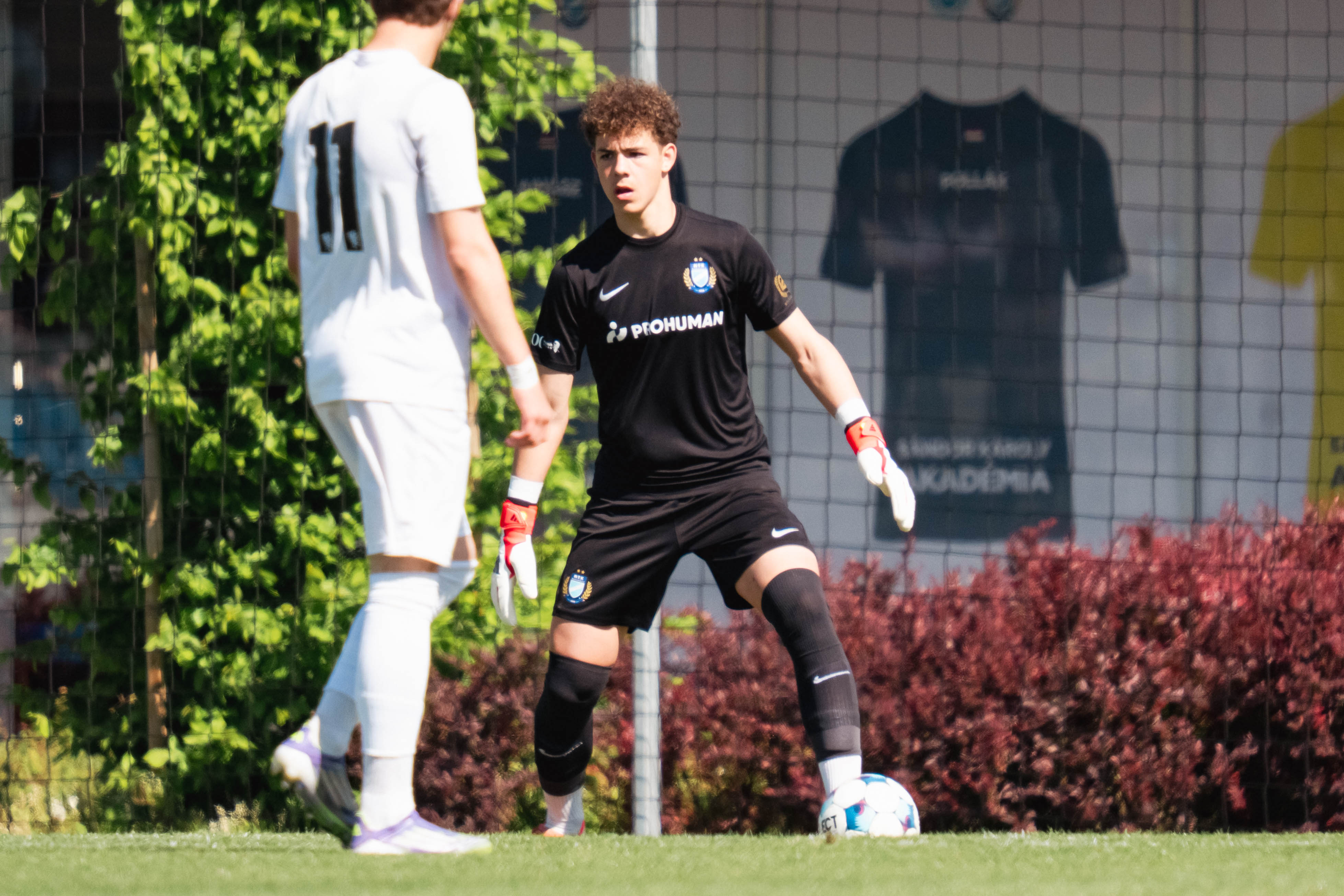 Képgaléria: MTK Budapest U16 - Budapest Honvéd U16 | 1-0