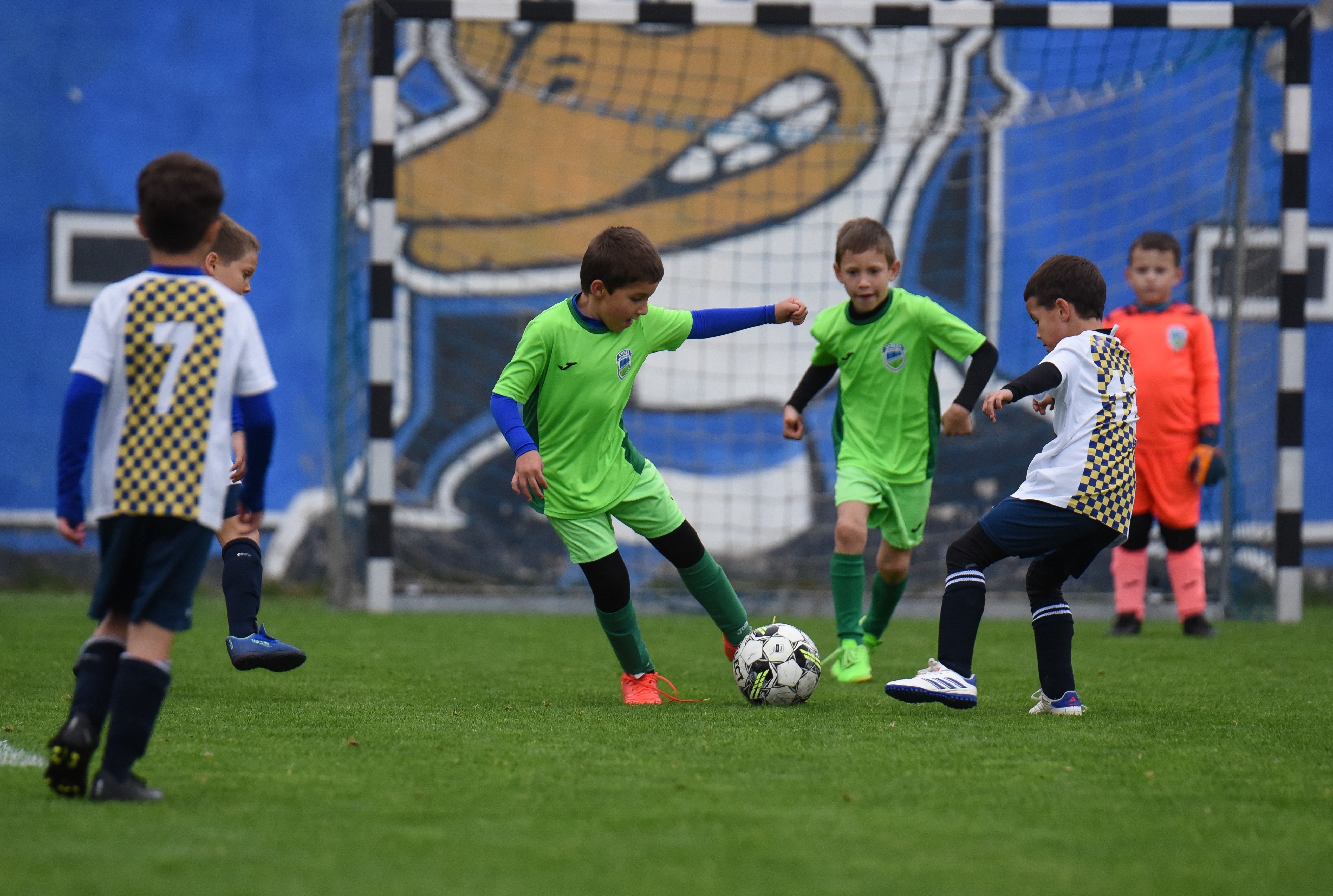 Képgaléria: U7-es és U8-as őszi partneregyesületi torna